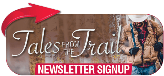 High Caliber Newsletter Link